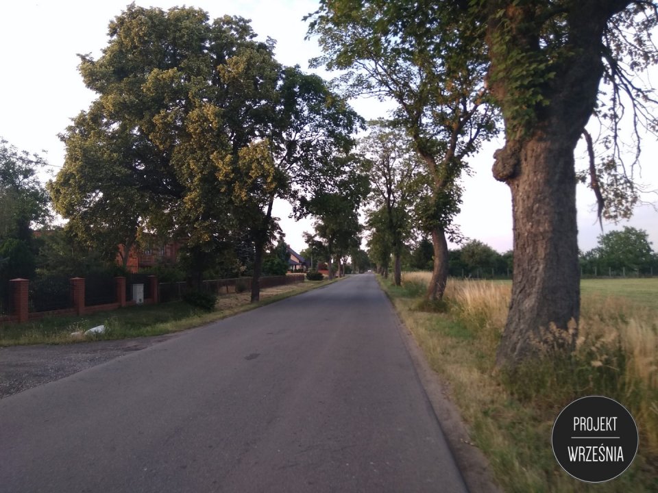 - 20191119_aleja_drzew__13_.jpg