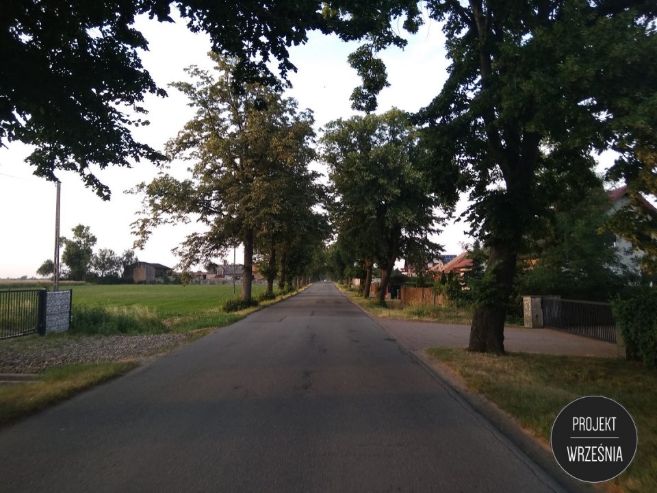 - 20191119_aleja_drzew__15_.jpg